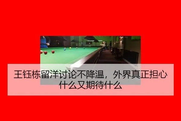 wang-yu-dong-liu-yang-tao-lun-bu-jiang-wen-wai-jie-zhen-zheng-dan-xin-shen-me-you-qi-dai-shen-me-2-439.jpg